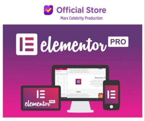 Paket Elementor PRO Full ADDON