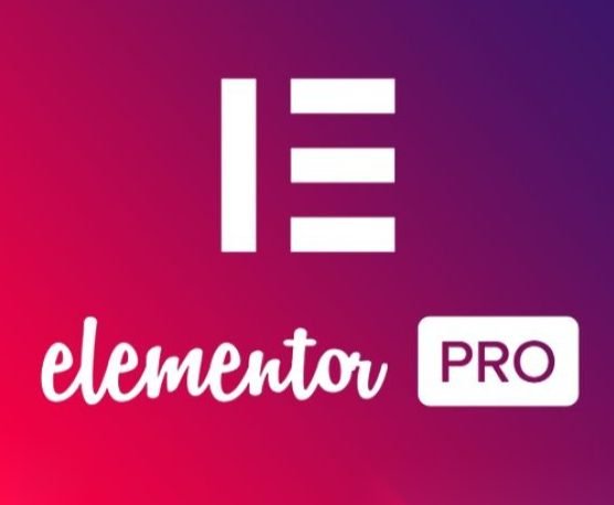 ELEMENTOR PRO - Versi Update - No Virus - GPL Themes