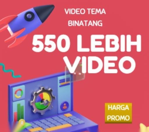 ide konten video binatang