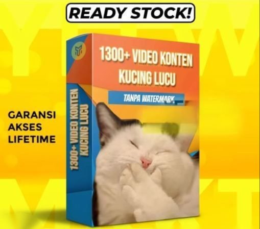 1300+ VIDEO KONTEN KUCING LUCU - Konten Video Tingkah Unik Kucing Viral