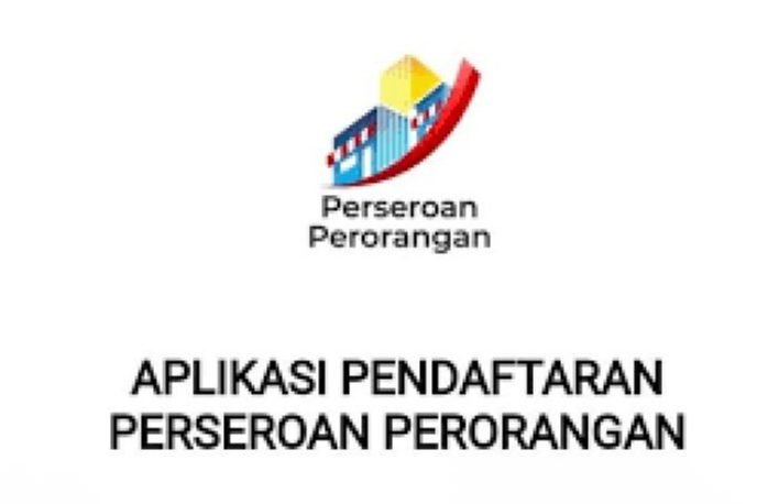 Jasa Pembuatan PT Perorangan