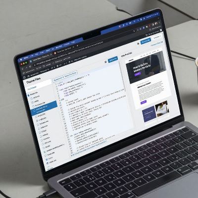 Jasa Development WordPress Custom