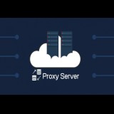 1 IP Proxy/Sock Private 30 Day