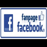 100 Facebook Fanspage Likes