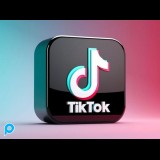1000 (1K) TIKTOK FOLLOWERS GARANSI 30 HARI PALING MURAH DISINI