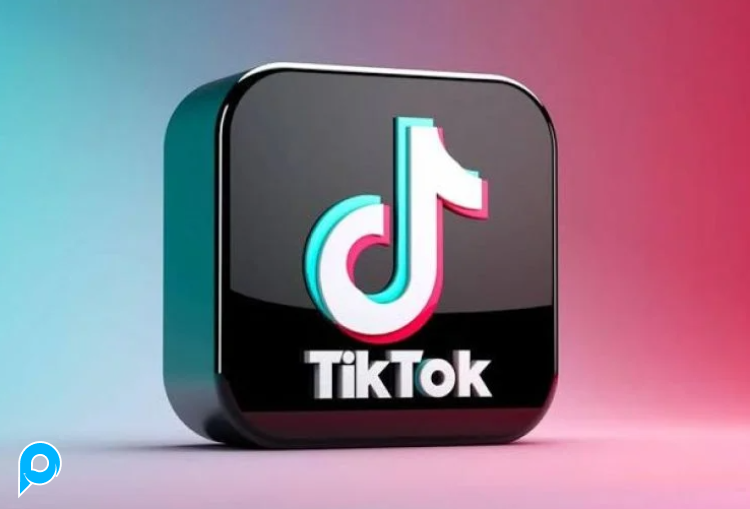 1000 (1k) Tiktok Followers cepat Instan High Quality No Drop Garansi 30 Hari