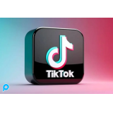 1000 (1k) Tiktok Followers cepat Instan High Quality No Drop Garansi 30 Hari