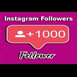1000 Likes Instagram NON DROP + High Quality