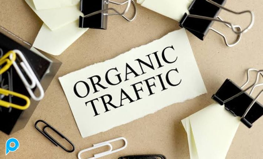 1000 organic search traffic