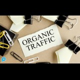 1000 organic search traffic
