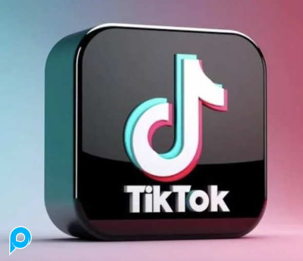 1000 Tiktok Followers cepat Instan No Drop Garansi 30 hri