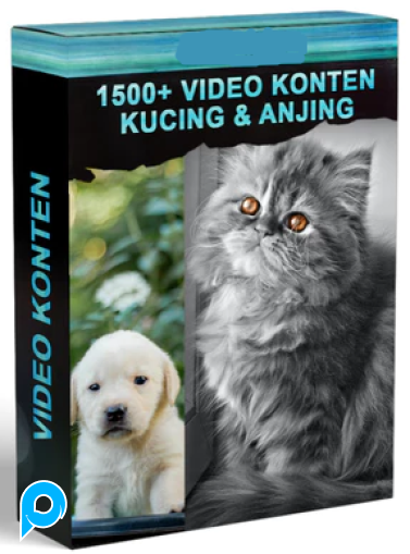 1000 VIDEO KONTEN KUCING LUCU + 1500 VIDEO KONTEN KUCING DAN ANJING LUCU
