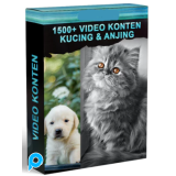 1000 VIDEO KONTEN KUCING LUCU + 1500 VIDEO KONTEN KUCING DAN ANJING LUCU