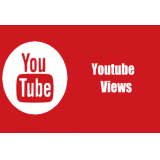 1000 Views Youtube + Bonus Likes