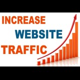 1000 Website Traffic [ Target ]