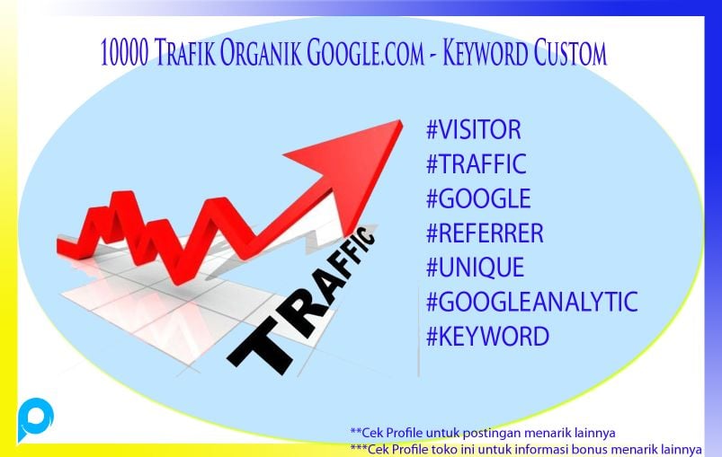 10000 Trafik Organik Google.com - Keyword Custom