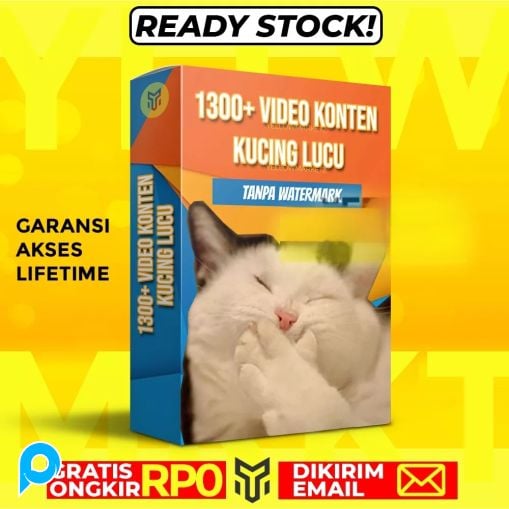 1300+ VIDEO KONTEN KUCING LUCU - Konten Video Tingkah Unik Kucing Viral