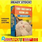 1300+ VIDEO KONTEN KUCING LUCU - Konten Video Tingkah Unik Kucing Viral