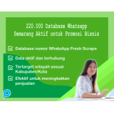 220.000 Database Whatsapp Semarang Aktif untuk Promosi Bisnis