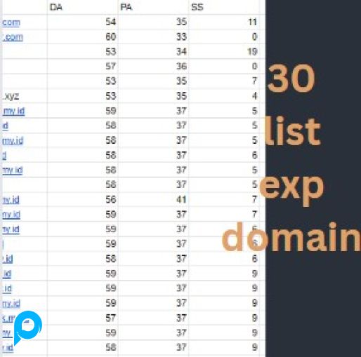 30 LEBIH LIST EXPIRED DOMAIN DA/PA UP TO 60/35, SANGAT FRESH!!!