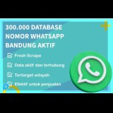 300.000 DATABASE NOMOR WHATSAPP BANDUNG AKTIF