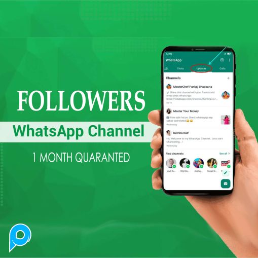 50 Whatsapp Channel Member / Follower Garansi 1 Bulan HQ Non Drop | Murah dan Proses Cepat