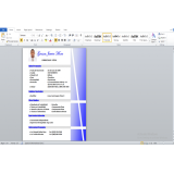 550+ Curriculum Vitae Template dalam Format file WORD