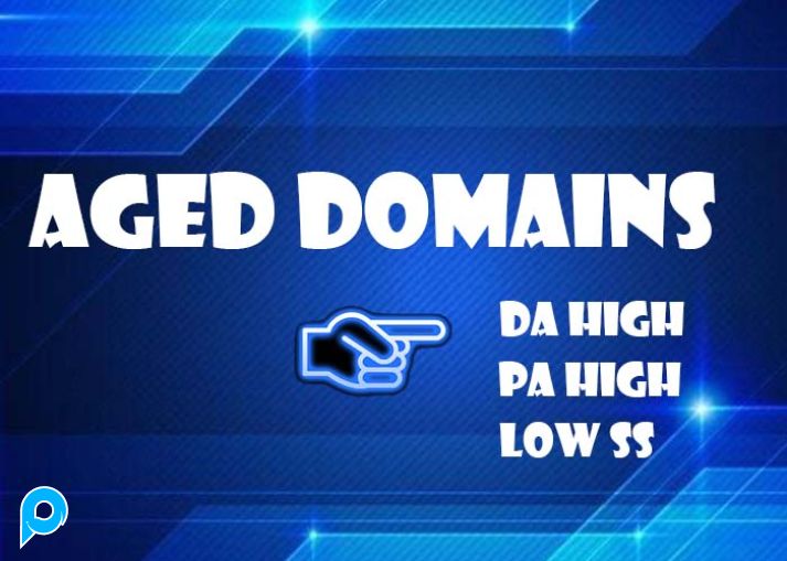 Aged Domain - Pure Domains For SEO