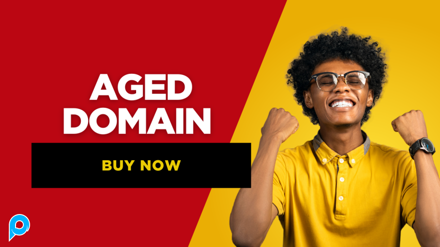AGED DOMAIN - Solusi Terbaik untuk PBN dan Money Site Anda
