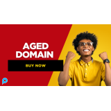 AGED DOMAIN - Solusi Terbaik untuk PBN dan Money Site Anda