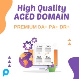 Aged Domain Berkualitas Dengan DR+ DA PA Tinggi Premium Media Backlinks