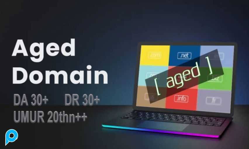 AGED DOMAIN BERKUALITAS TINGGI | High DA/PA/DR LowSPAM!