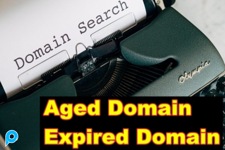 AGED DOMAIN & EXPIRED DOMAIN High DA/DR/TF!