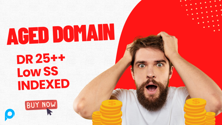 Aged Domain High DR - Solusi Terbaik untuk PBN dan Money Site Anda