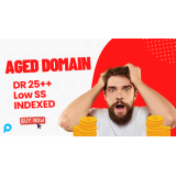 Aged Domain High DR - Solusi Terbaik untuk PBN dan Money Site Anda
