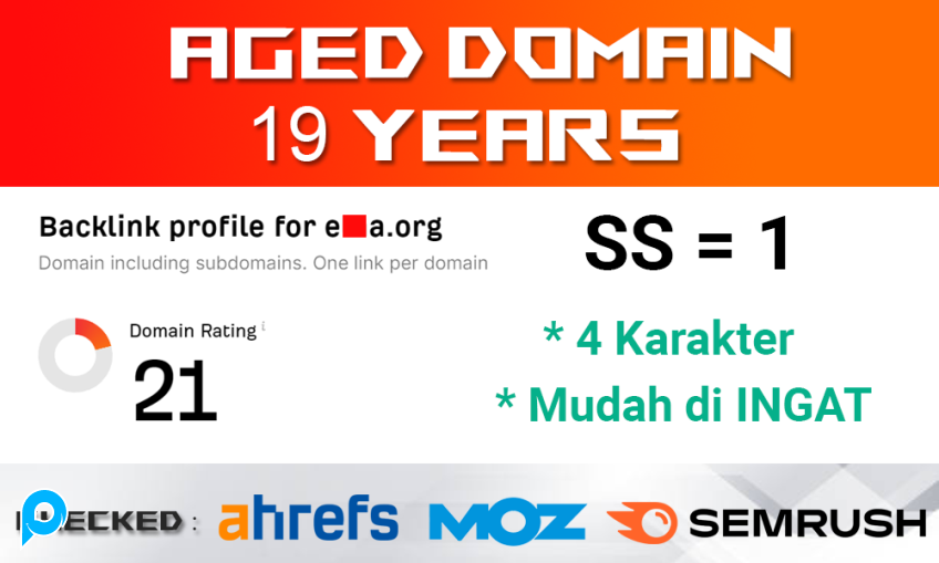 AGED DOMAIN umur 19 Tahun 4 Karakter Mudah diingat