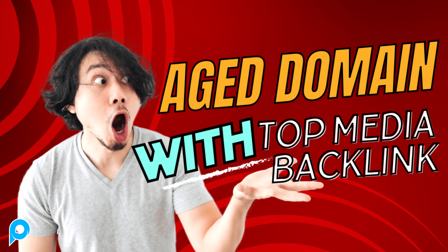 Aged Domain with Media Backlink - Solusi Terbaik untuk PBN dan Money Site Anda