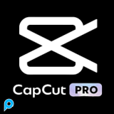 Akun Capcut Pro 1 Bulan Bergaransi All Device