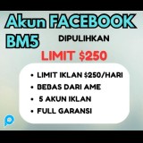 Akun Facebook BM5 limit $250 telah dipulihkan kuat iklan