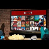 Akun Netflix Premium 1 Bulan Private Akun