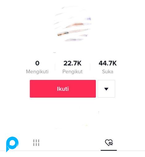 Akun Tiktok 20K++ / 20.000 Followers, hasil FYP Real Followers Indo BISA LIVE cocok untuk BISNIS / P