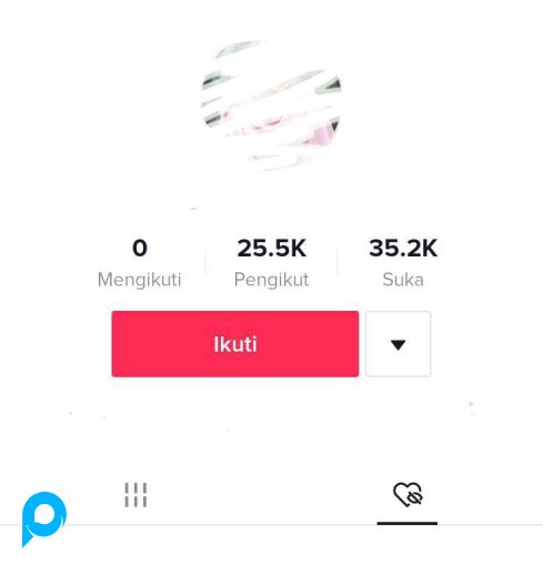 Akun Tiktok 25K++ / 25.000++ Followers hasil FYP Real Followers Indo BISA LIVE untuk BISNIS / PRIBAD