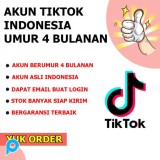 Akun TikTok Indonesia Umur 4 Bulanan