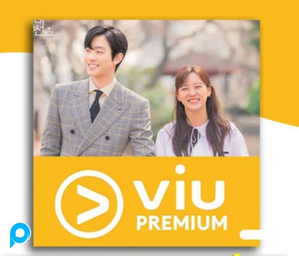 Akun VIU PREMIUM 1 Bulan Full Garansi