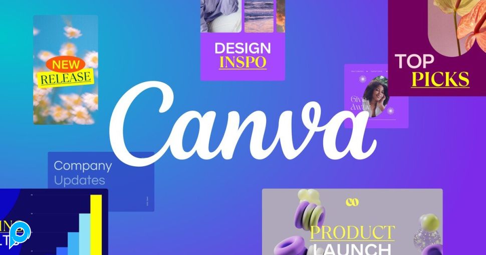 Canva Pro Premium 1 Tahun Original Bukan Education