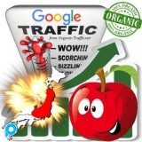 DAPATKAN TRAFFIC MESIN PENCARI ORGANIK GOOGLE TARGET TANPA BATAS SELAMA 1 BULAN