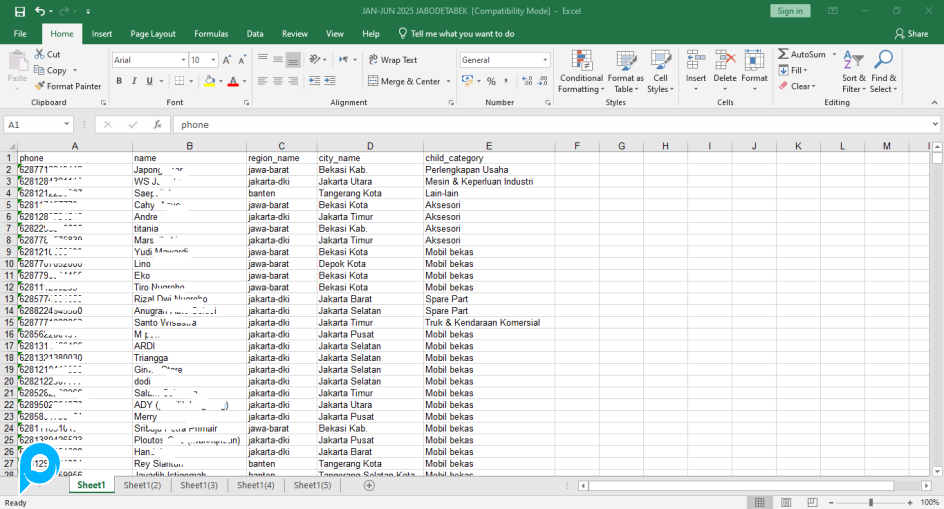 Database wa indonesia tahun 2025 ( januari - juni )