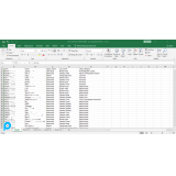 Database wa indonesia tahun 2025 ( januari - juni )