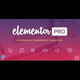 Elementor Pro 3.xx.xx - GPL License - Selalu Update