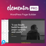 Elementor PRO WordPress Page Builder + Pro Templates
